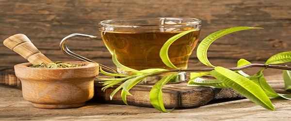 تصویر 1 از قیمت گیاه دارویی به لیمو با کیفیت ارزان + خرید عمده